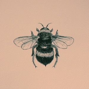 Meet your Posher, Kaitlin